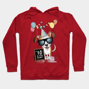 I'm 10 in Dog Years Hoodie